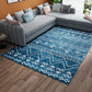 Water and Stain Resistant Rug